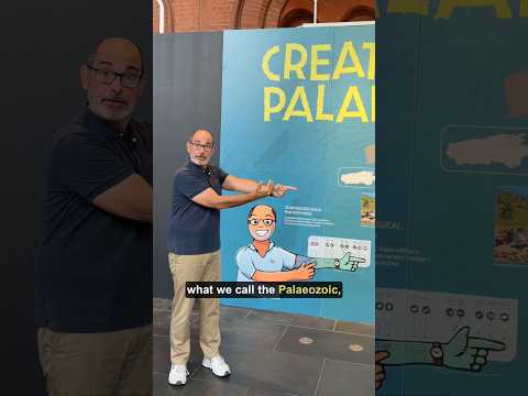 Photo from Creatures of the Palaeozoic