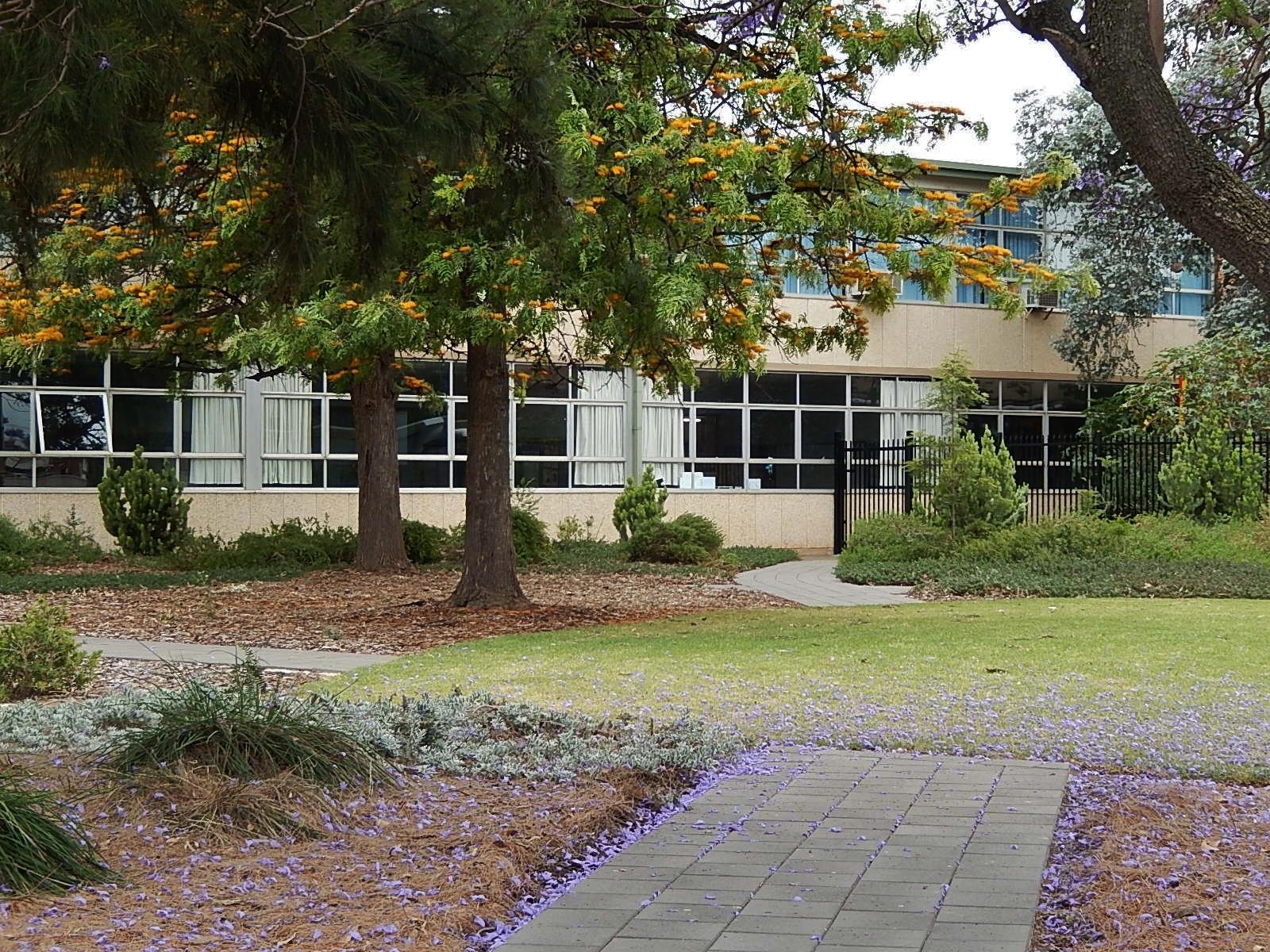 Schools and Education in Adelaide: Universities, Schools and Training