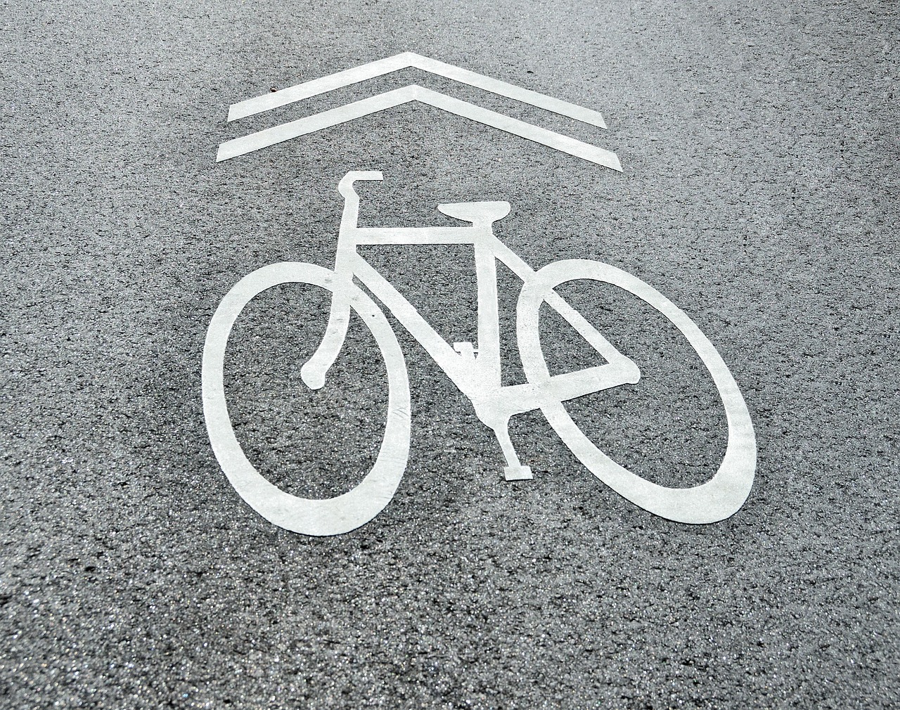 Adelaide's Best Cycling Routes Safe for Families and Beginners