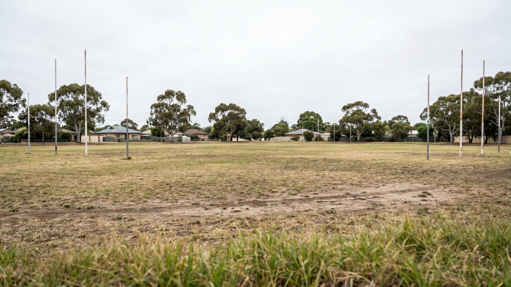 Amateur League Standings Hold Steady in Adelaide Competitions