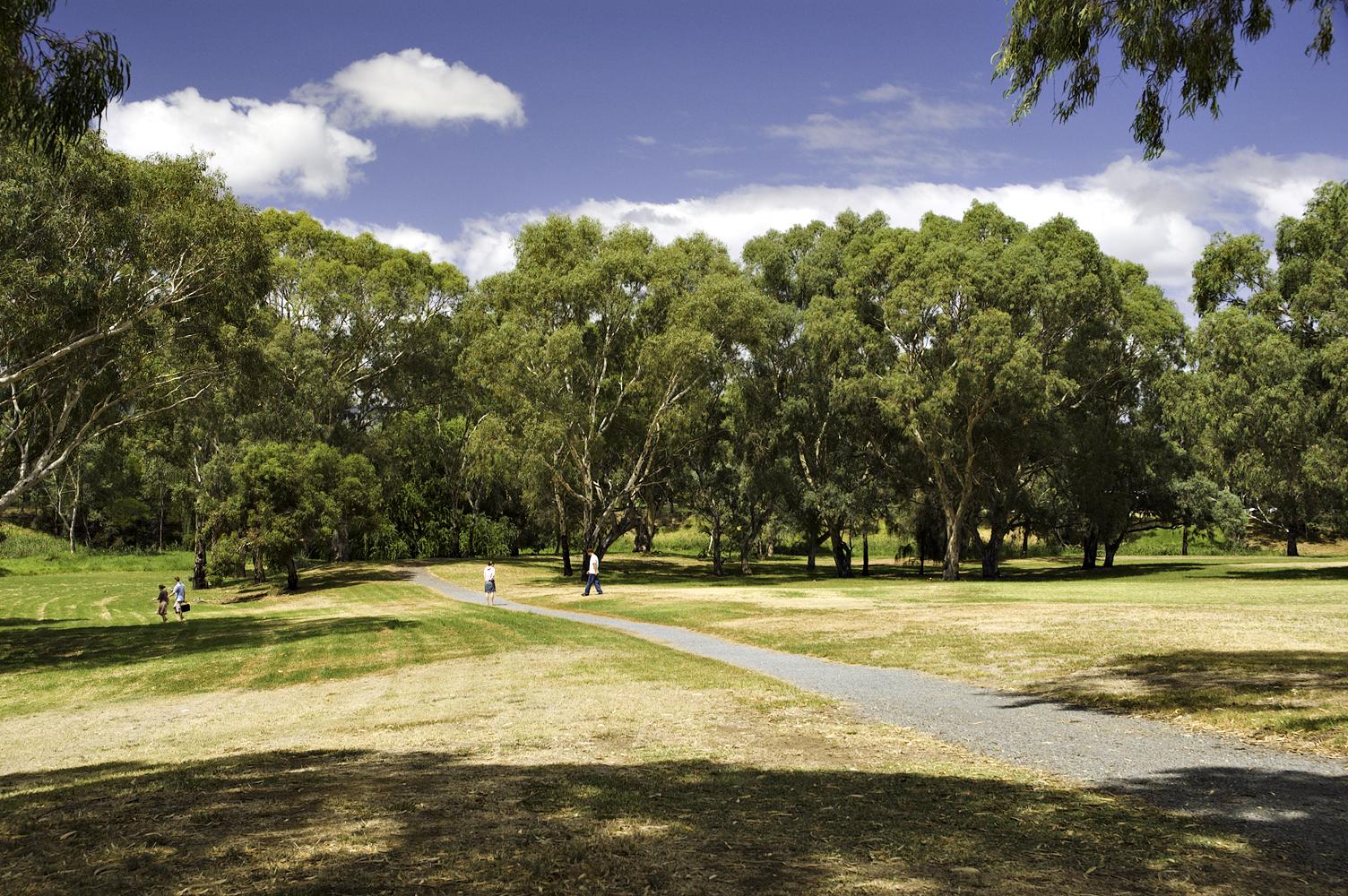 Torrens Linear Park