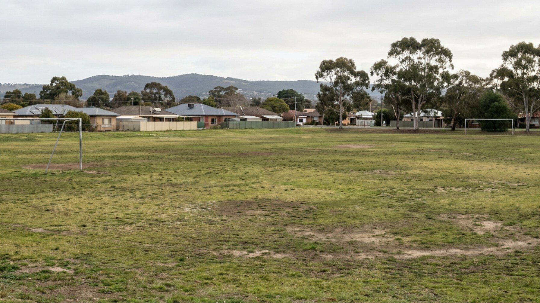Adelaide Sports Infrastructure Supports Weekend Results Across Multiple Codes