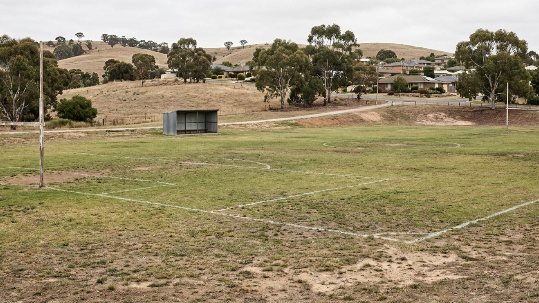 Adelaide Giants Sign Three Local Baseballers Zack Altamura, Nick Paparella and Riley Yatan