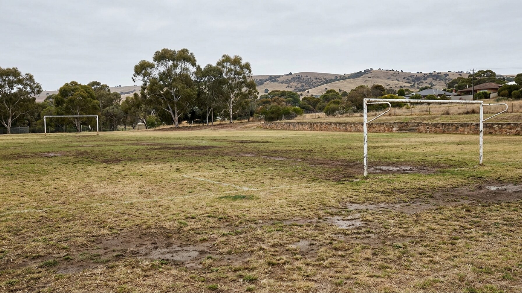 Adelaide Sports Roundup: AFL Success and Local Football Results