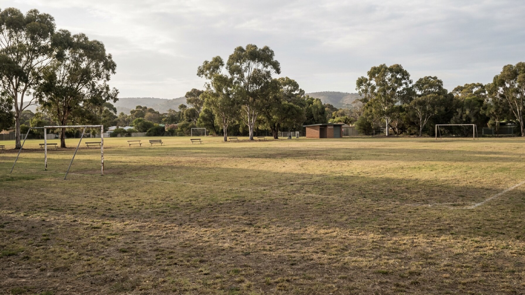 Amateur League Standings Offer Window into Adelaide Fitness Participation