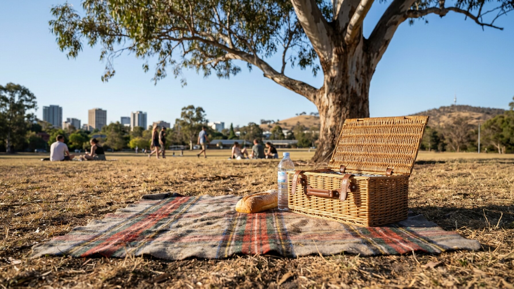 Adelaide Residents Weave Close Ties Amid Shifting Relationship Patterns