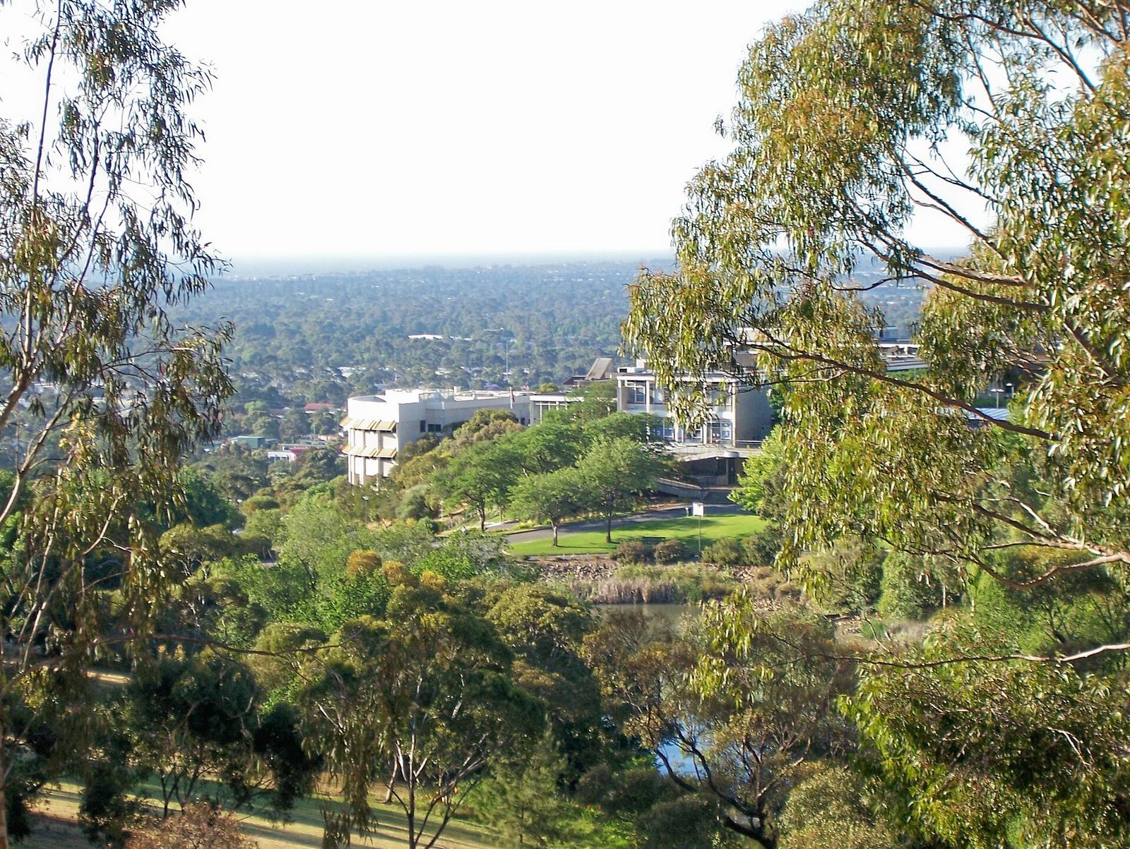 Flinders University Research Identifies Priorities for Supporting Unpaid Carers