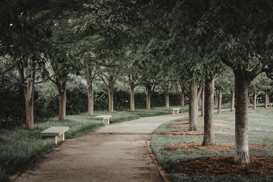 Local Sources Outline Adelaide Community Wellness Programs