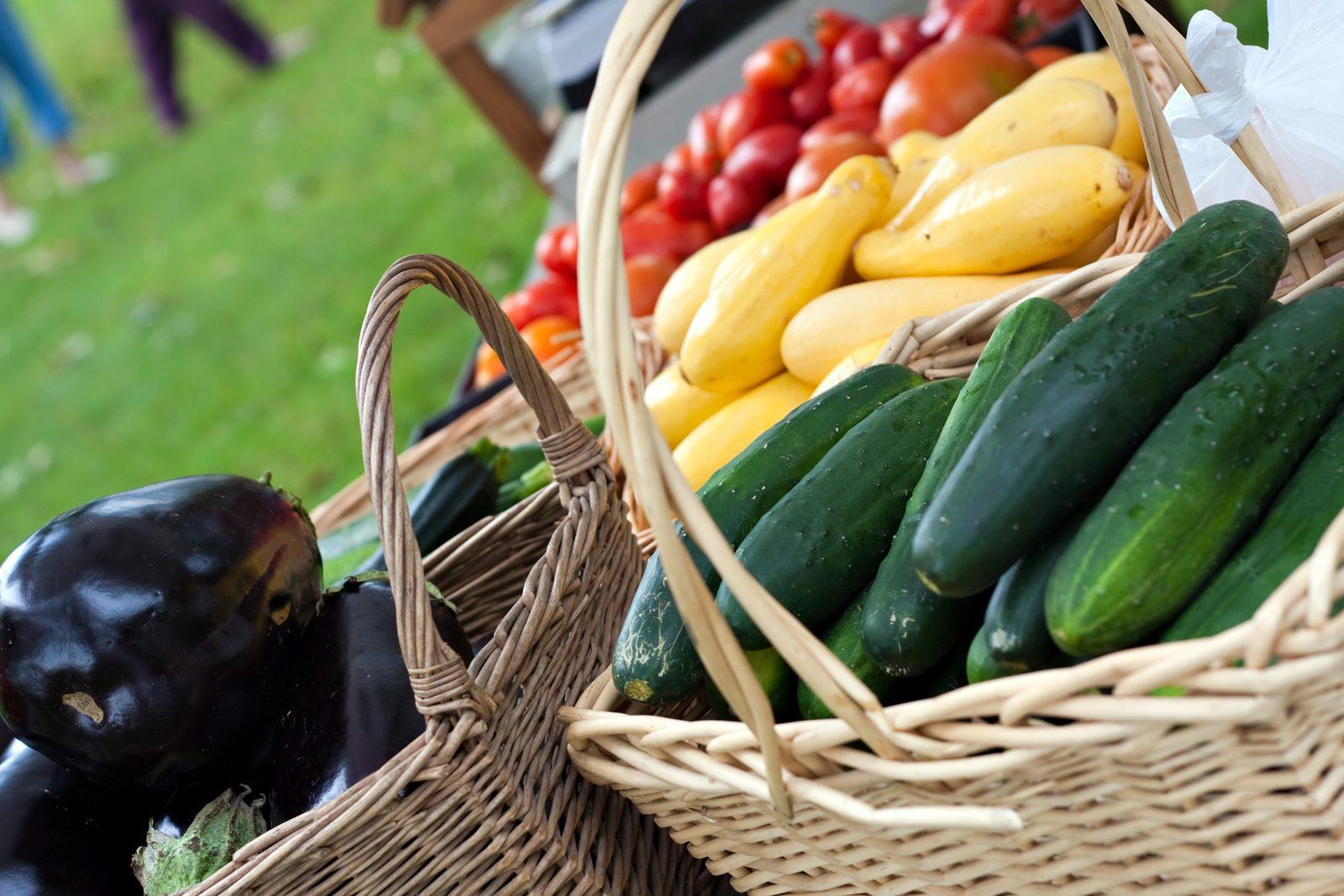 Adelaide's Top Farmers Markets: Where to Shop Local