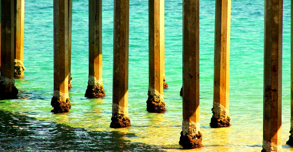 South Australia's New Local Government Reforms: What Adelaide Residents Can Expect