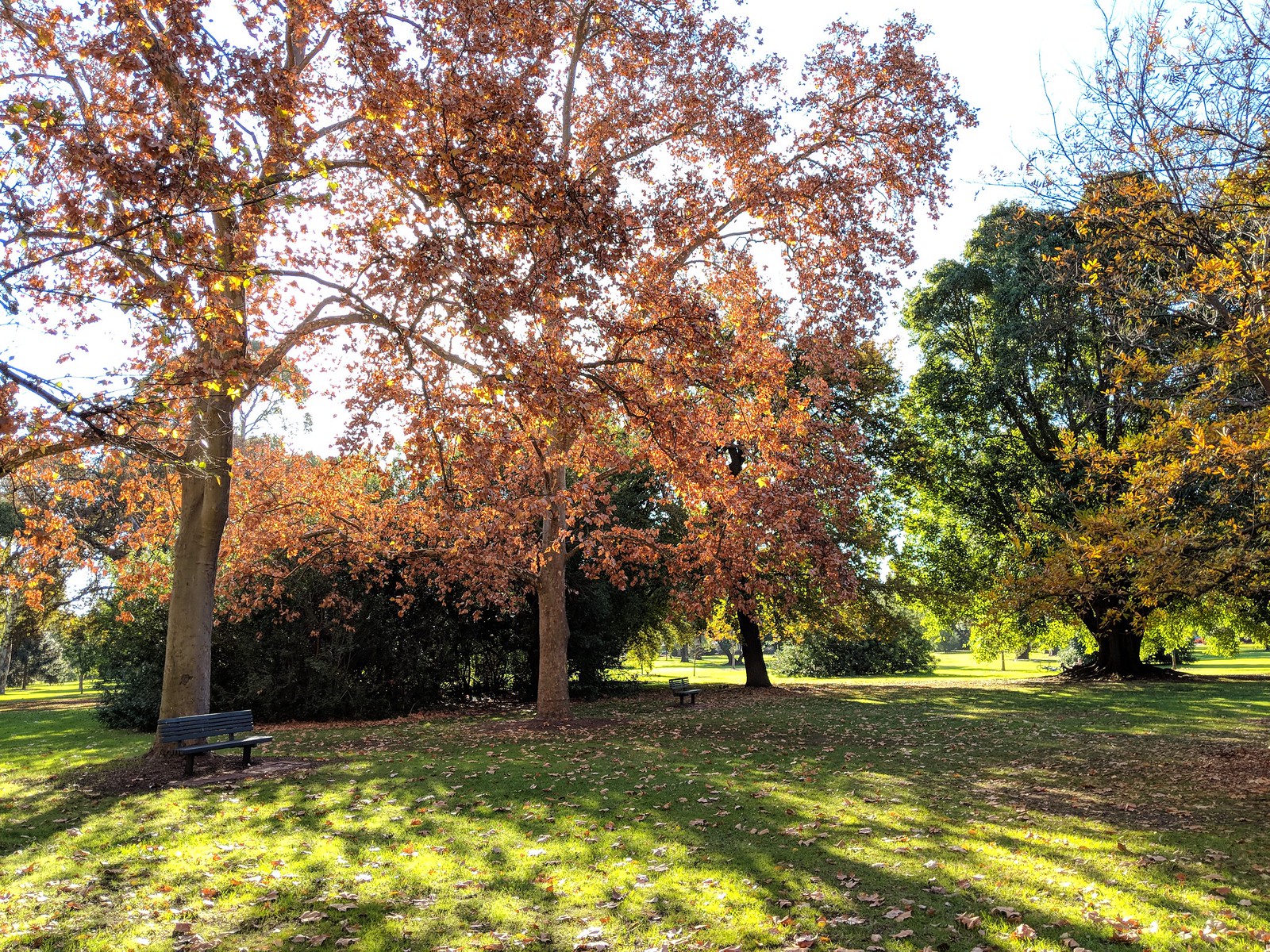 Parks Near Adelaide: Best Nature Walks & Reserves 2026