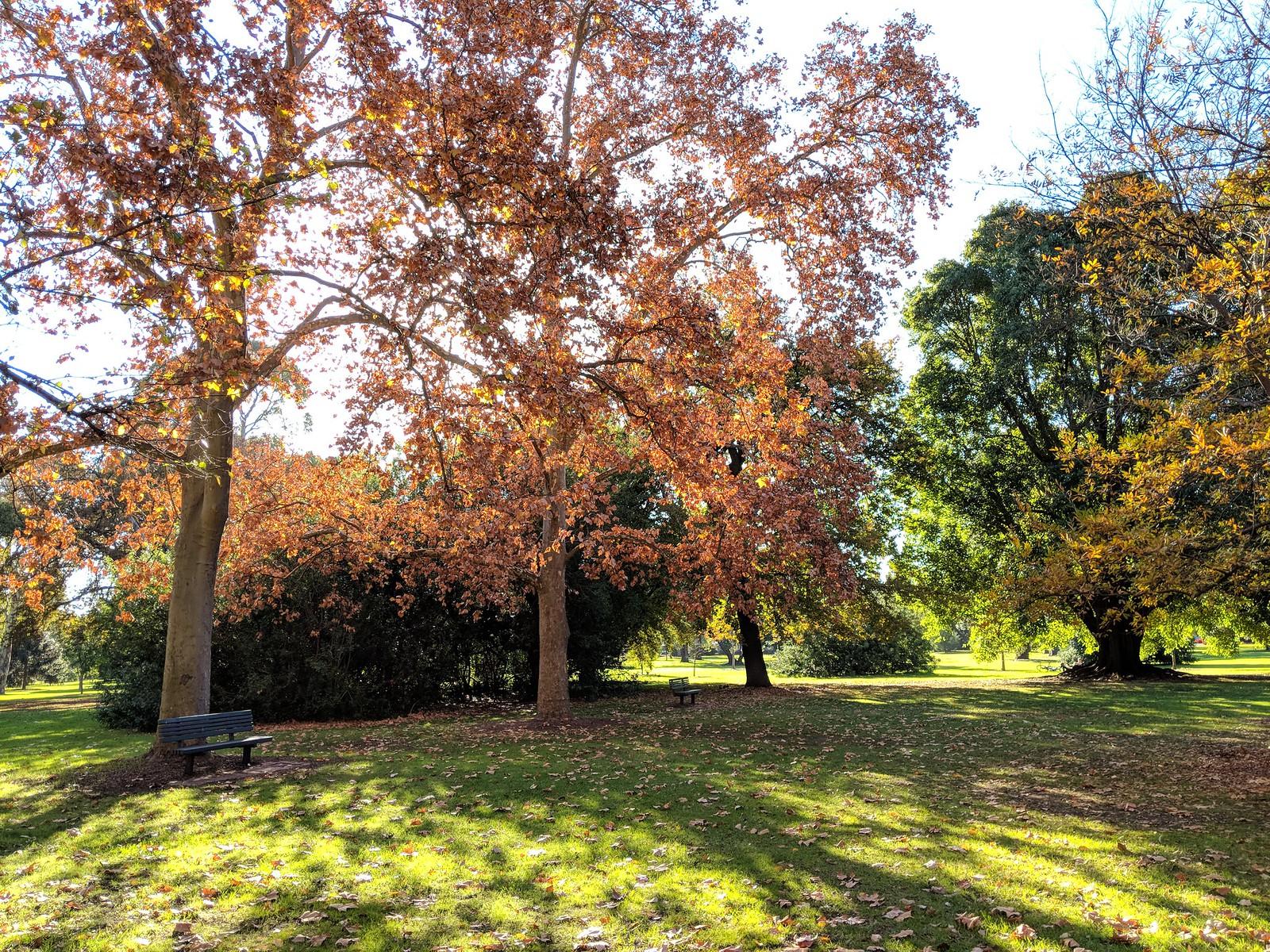 Parks Near Adelaide: Best Nature Walks & Reserves 2026