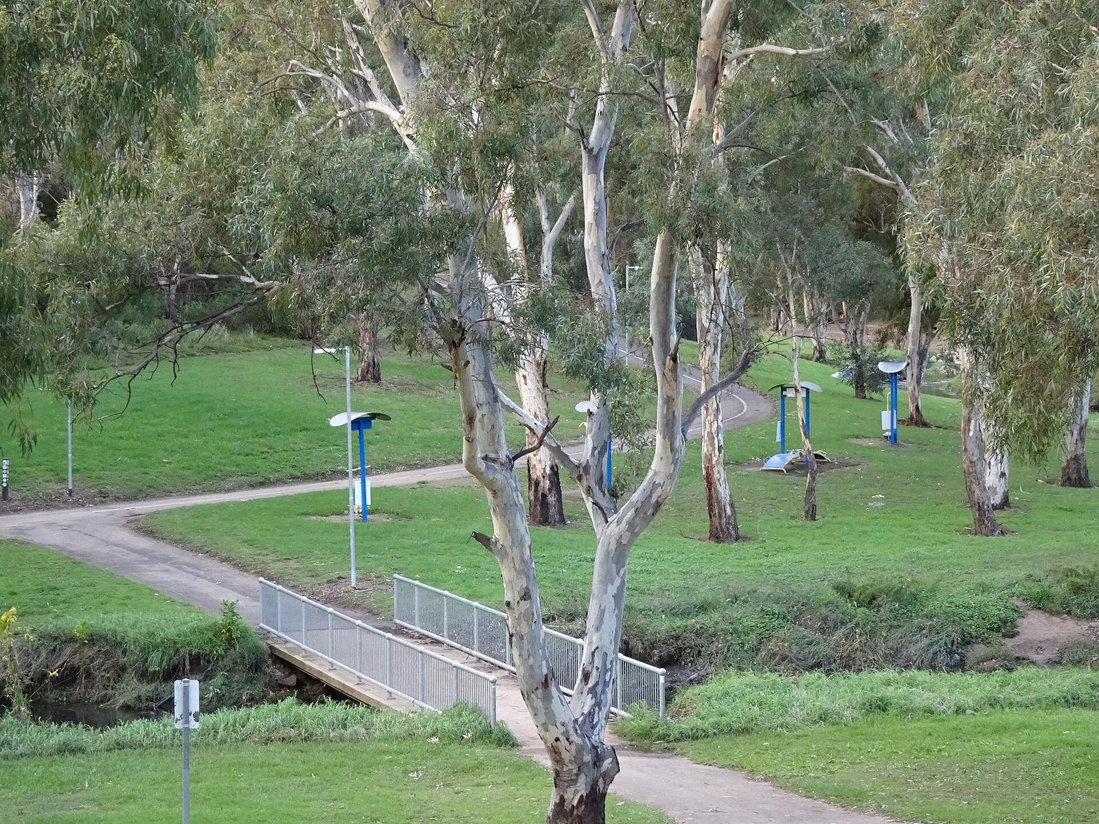 Linear Park in Flinders Park